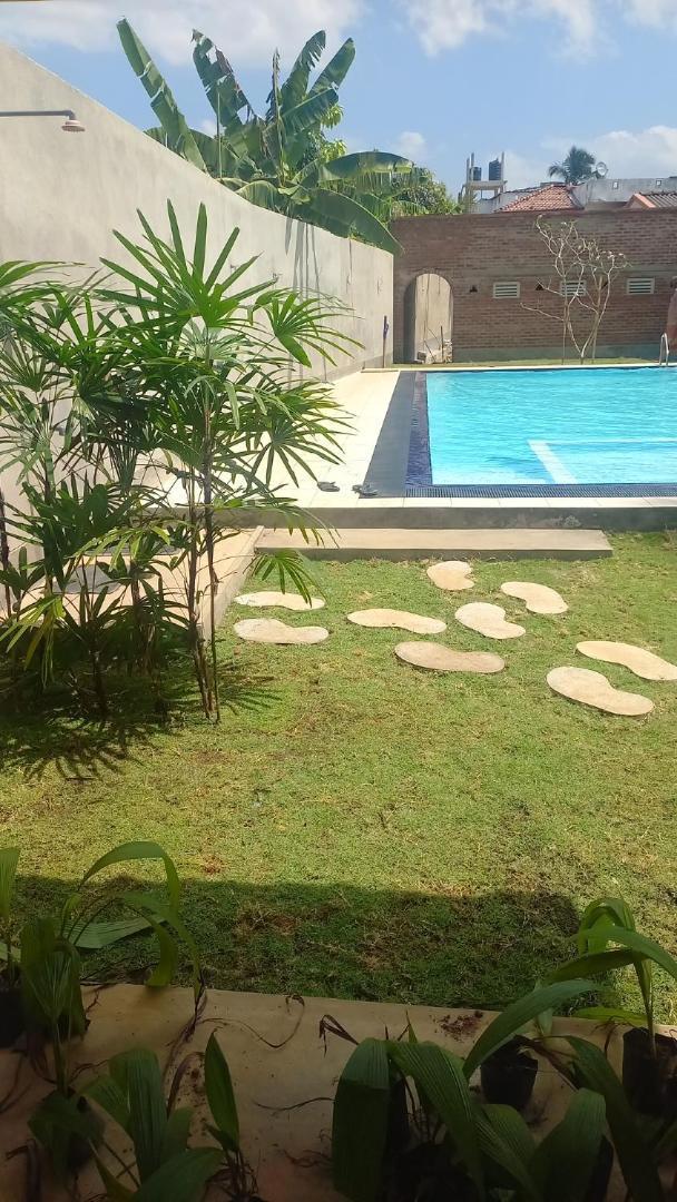 Ocean View Tourist Guest House At Negombo Beach Near The Airport Extérieur photo